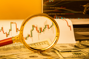 Mutual Fund Factsheet
